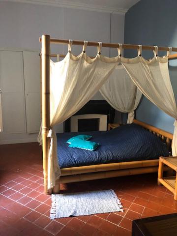 Agreable, Touche Exotique Leilighet Carcassonne Eksteriør bilde
